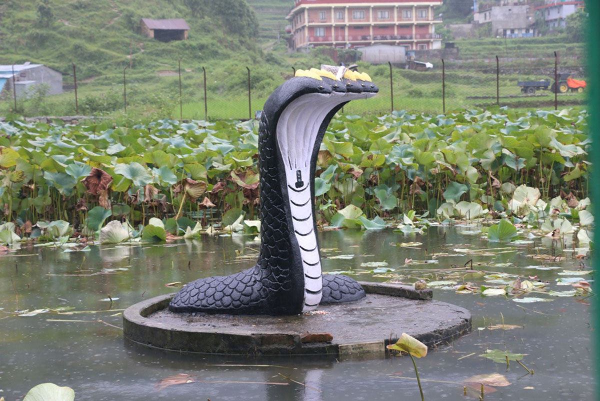नागमूर्तिको अनावरणसहित विधिपूर्वक पूजा 